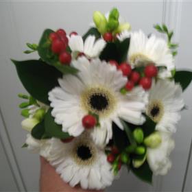 fwthumbnew flower pictures 109.jpg
